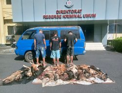 Resmob Polda Sulut Tangkap 3 Warga yang akan Menjual Puluhan Ekor Anjing di Manado
