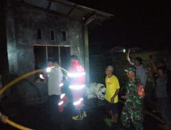 Si Jago Merah Lalap 3 Unit Rumah di Desa Sea