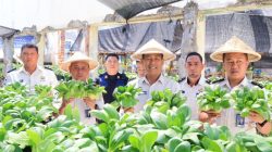 Kakanwil Ditjen Pemasyarakatan Panen Pakcoy di Lapas Manado